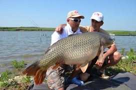 CUPA BECKER SARULESTI